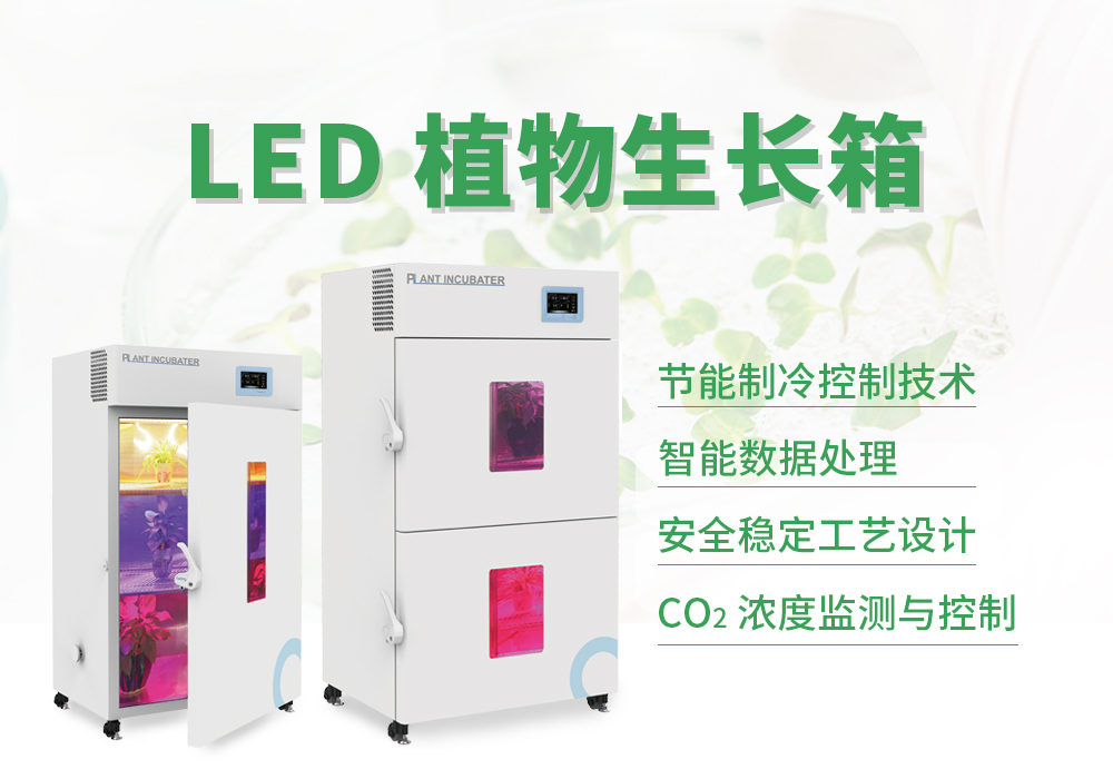 LED植物生長箱