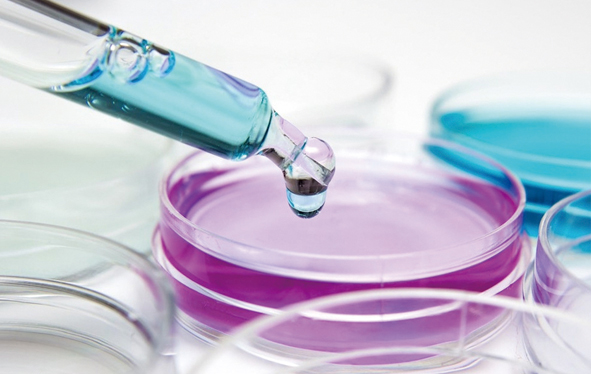 being 貝茵實驗 being 貝茵實驗