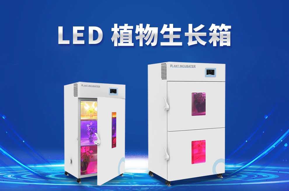 貝茵 植物培養箱