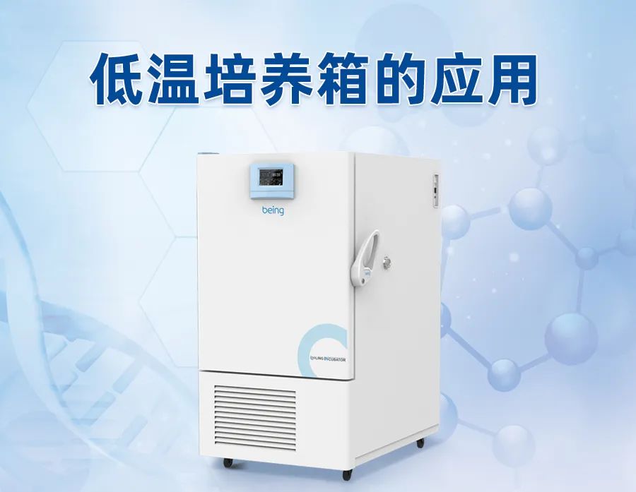 低溫培養(yǎng)箱 低溫培養(yǎng)箱