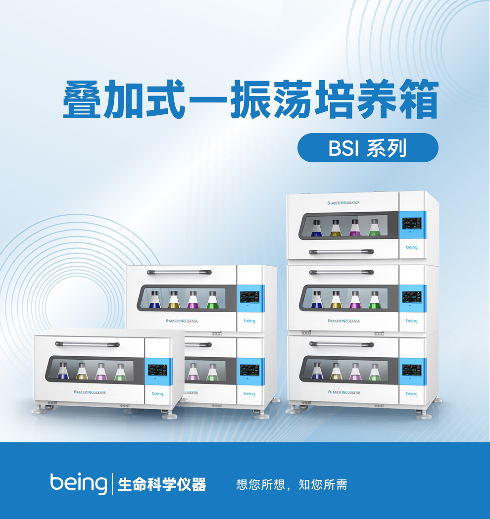 貝茵疊加搖床 貝茵疊加搖床