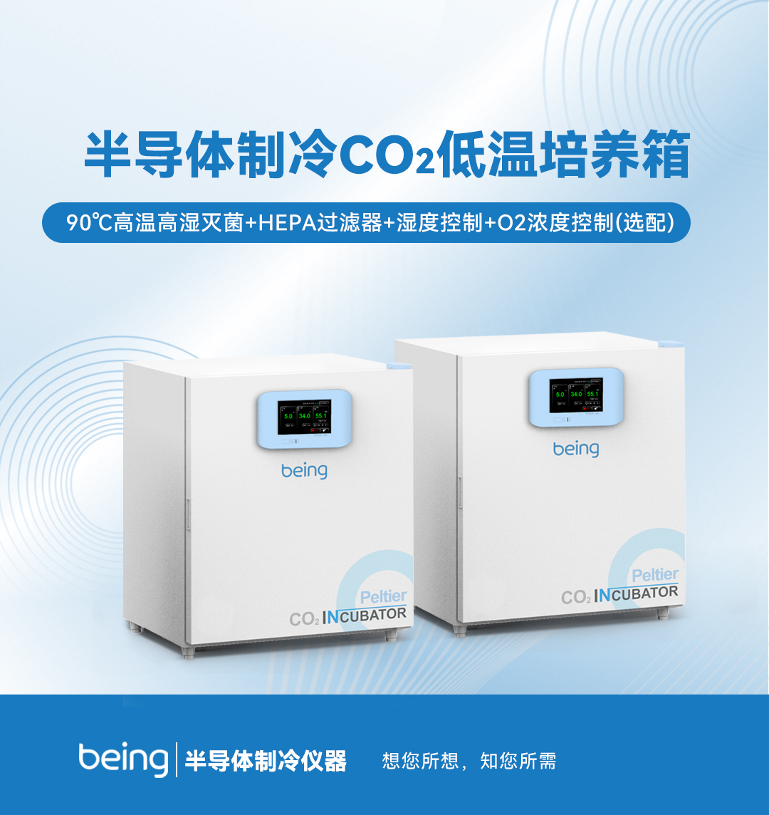 半導(dǎo)體制冷CO2低溫培養(yǎng)箱