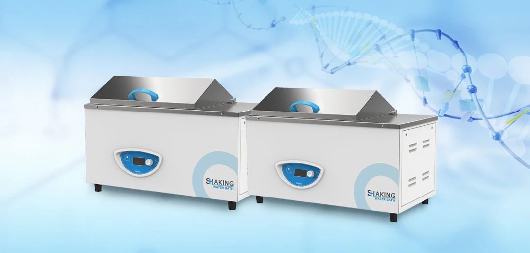 貝茵恒溫振蕩水槽 貝茵恒溫振蕩水槽